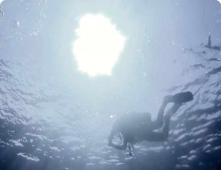 Coastal Diving