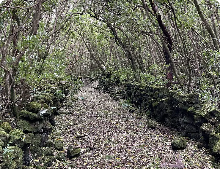 Pico-West-East-Coast-Hikes